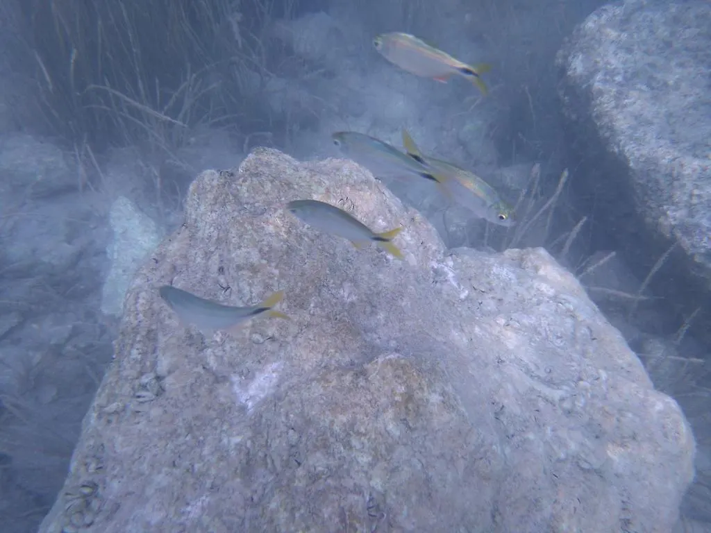 Casa Lamat Bacalar
