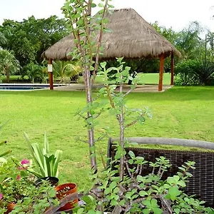  Bed & Breakfast Mom's House Mexico